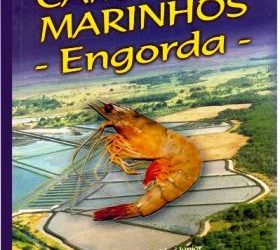 camaroes marinhos II