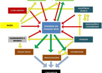 cadeia produtiva paranapanema