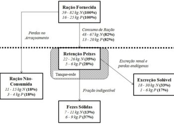 estimativa de fluxo carga organica