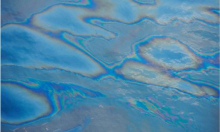 Contaminação por petróleo e derivados em ecossitemas aquáticos: os problemas foram resolvidos?