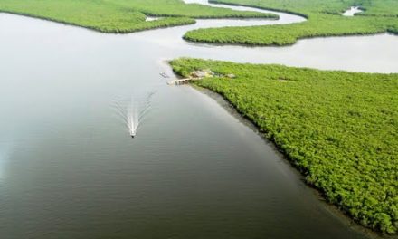 Utilização de sonar na estimativa da população de ostras em seu ambiente natural