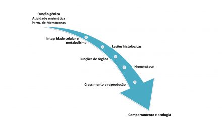 O uso de coletores artificiais de sementes: uma importante alternativa para a viabilização da ostreicultura no Paraná