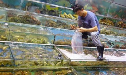 Maricultura na China (segunda parte)