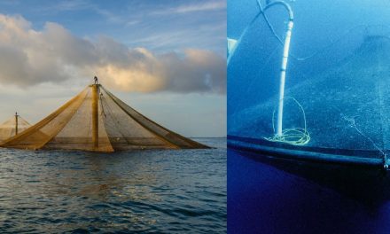O futuro depende da aquicultura em águas abertas