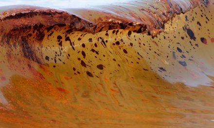 Derramamentos de Petróleo e Derivados em Ecossistemas Marinhos