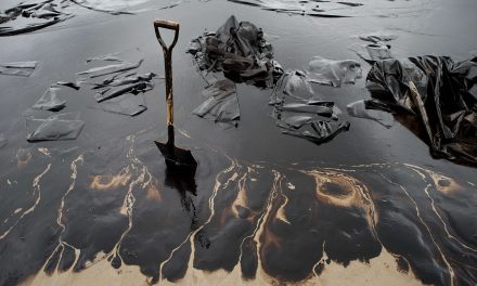 Conservação e recuperação de áreas contaminadas: questões sociais e legais que influenciam na tomada de decisão