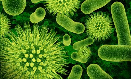 A biorremediação como ferramenta para recuperação de ecossistemas aquáticos contaminados por hidrocarbonetos de petróleo