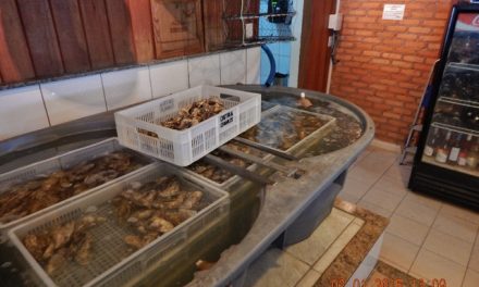 Segurança alimentar para consumidores de ostras