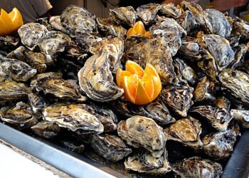 Armazenamento de ostras para comercialização