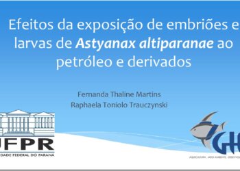 Artigos Científicos