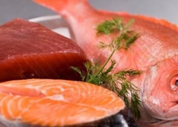 Os benefícios da astaxantina na aquicultura