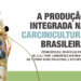 A produção integrada na carcinicultura brasileira: Vol. I