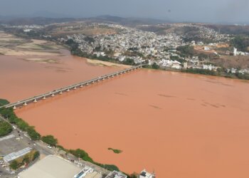 Bioconcentração de metais no tecido branquial de peixes e a relevância no uso dos modelos bióticos