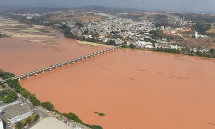 Bioconcentração de metais no tecido branquial de peixes e a relevância no uso dos modelos bióticos