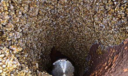 Ações e impactos dos principais métodos químicos utilizados no controle de moluscos bivalves incrustantes no mundo