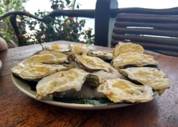 Cultivo orgânico de camarões e ostras no Nordeste Brasileiro