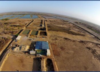 Interiorização da carcinicultura brasileira