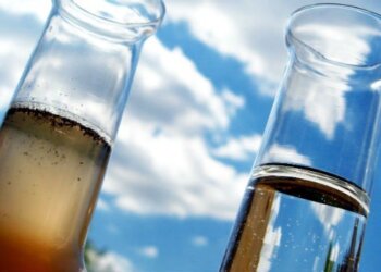 A relação entre o pH, a alcalinidade e a amônia na piscicultura