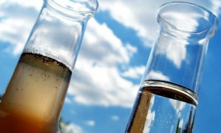 A relação entre o pH, a alcalinidade e a amônia na piscicultura
