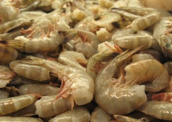 Problemas com a importação do camarão no Brasil