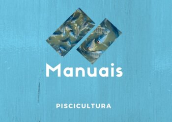 Manuais