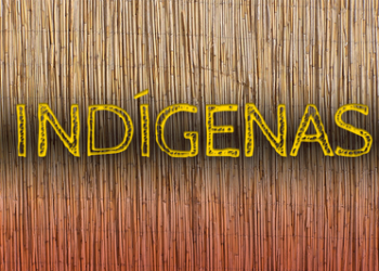 Projeto de piscicultura na comunidade indígena de Mangueirinha, Paraná.