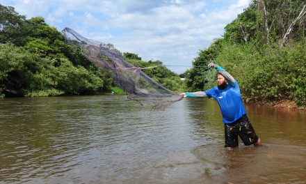 Equipe técnica do GIA participa do monitoramento ambiental da BR-135