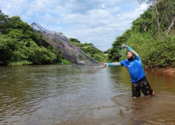 Equipe técnica do GIA participa do monitoramento ambiental da BR-135