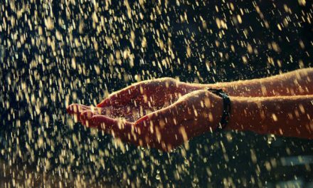 Água de chuva: captação e benefícios