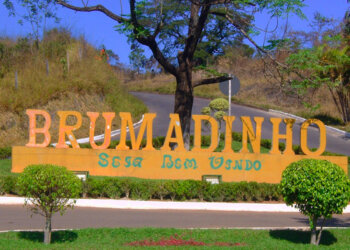 Os efeitos da tragédia de Brumadinho para a piscicultura