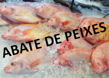 Abate de peixes e seu impacto sobre  a qualidade do produto