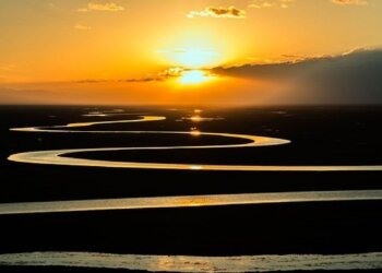 Migração de peixes na Amazônia