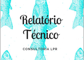Consultoria LPR