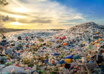 Contaminação por Microplásticos em Ambientes Aquáticos