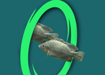 Um pouco de tudo o que você sempre quis saber sobre o cultivo de peixes orgânicos (livro digital – PDF)