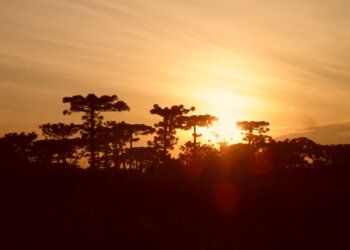 Piscicultura em comunidade indígena  – Licenciamento