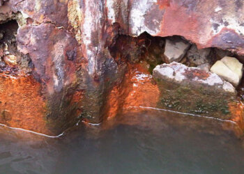 Biocorrosão de estruturas hidráulicas causadas por bioincustração