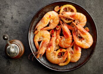 Doenças na carcinicultura: um fator limitante para o abastecimento de alimento no futuro