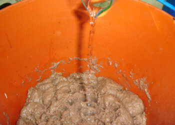 Diferentes inoculantes na produção de silagem de peixe