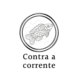 Projeto Contra a Corrente – criando oportunidades