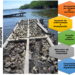 Sustentabilidade no cultivo de moluscos bivalves