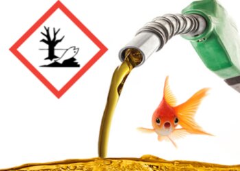 Efeitos fisiológicos da exposição aguda de peixes à hidrocarbonetos de petróleo