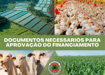 Crédito Rural – Saiba como Obter