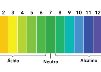 Limite de tolerância de lambaris ao pH