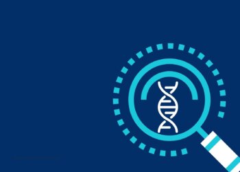 Mestrado e doutorado