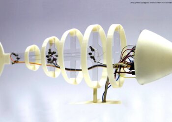 Modelos físicos biomiméticos e bioinspirados “peixe robô”